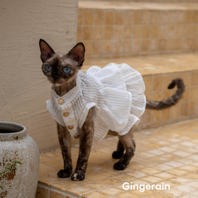 GINGERAIN 法式荷叶衬衫裙德文猫衣服无毛猫飘逸初恋感小白裙