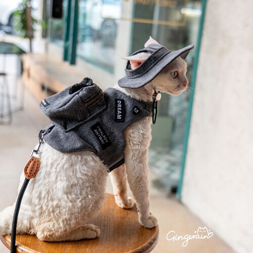 GINGERAIN  露营户外遛猫牛仔背包胸背带牵引绳无毛德文猫书包