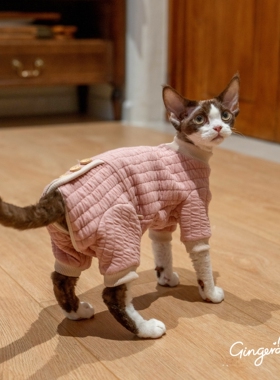 GINGERAIN 夹棉保暖卫衣实用德文猫衣服无毛猫包肚四腿外出服