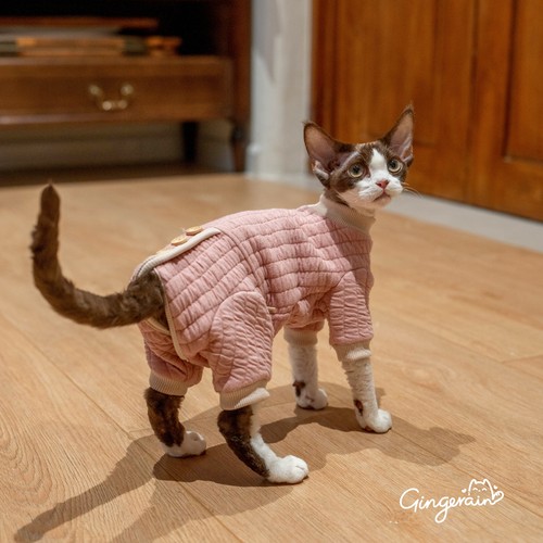 GINGERAIN 夹棉保暖卫衣实用德文猫衣服无毛猫包肚四腿外出服
