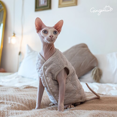 Gingerain无毛猫纯棉保暖马甲