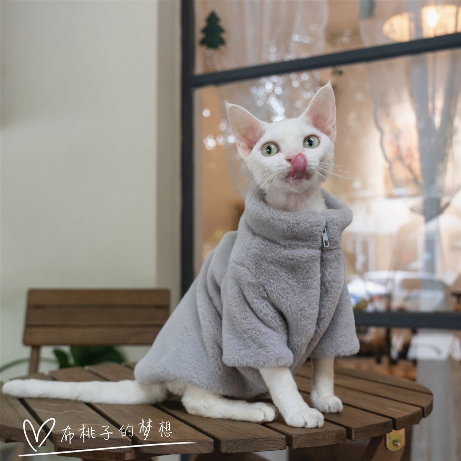 GINGERAIN猫咪仿濑兔毛拉链大衣