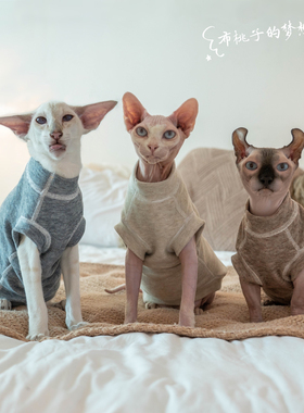 GINGERAIN 斯芬克斯无毛猫衣服矮脚无骨缝防过敏保暖绵柔内衣背心