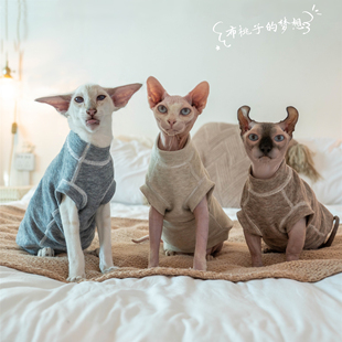 GINGERAIN 斯芬克斯无毛猫衣服矮脚无骨缝防过敏保暖绵柔内衣背心