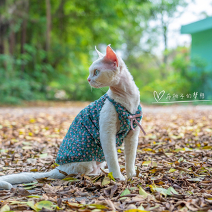 GINGERAIN 无毛猫吊带德文猫衣服纯棉显胸森系护肚服背心空调服