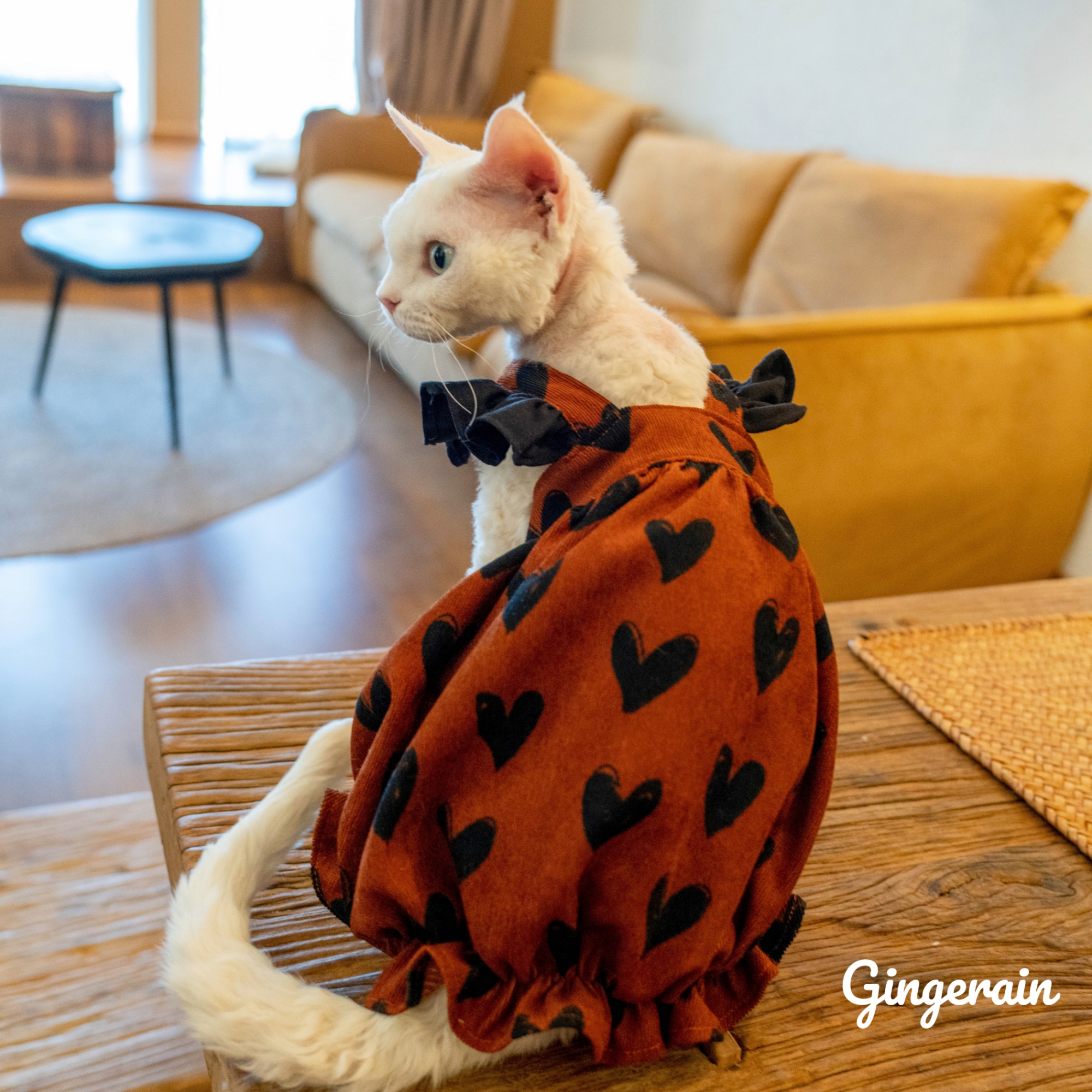 背心裙德文猫衣服布桃子的梦想