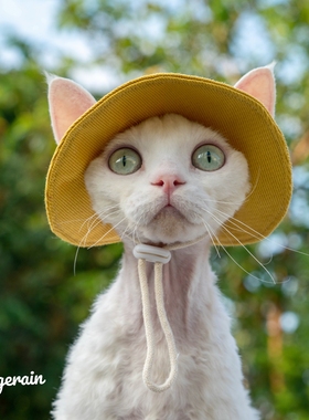 GINGERAIN 彩色渔夫帽无毛猫德文牛仔纯棉夏季防晒露耳朵太阳帽子