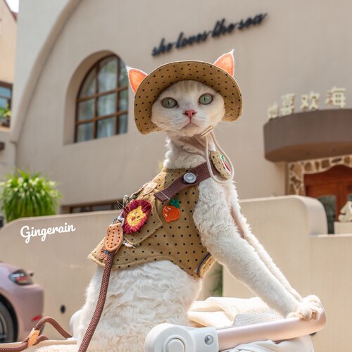 GINGERAIN  露营户外风牛仔遛猫胸背带牵引绳套装德文无毛猫背心