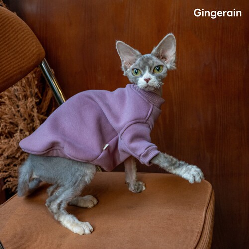 GINGERAIN 廓形加绒棉质卫衣德文猫无毛猫衣服潮牌基础打底衫