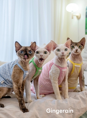 GINGERAIN 德文猫衣服无毛猫纯棉高弹透气防晒糖果格子吊带