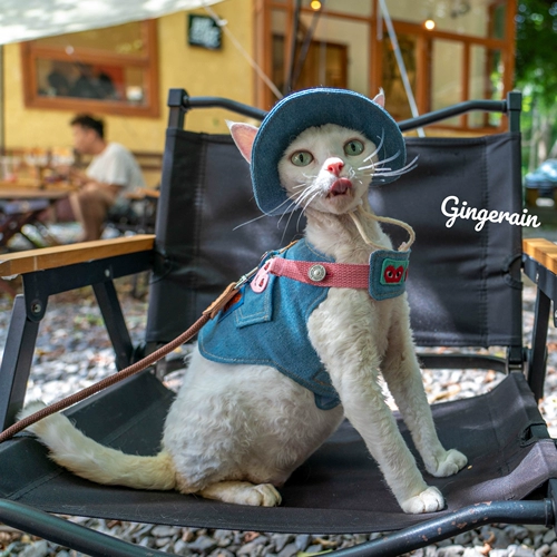 Кемпинг с джинсовой ткани с джинсовым ремешками на открытом воздухе.