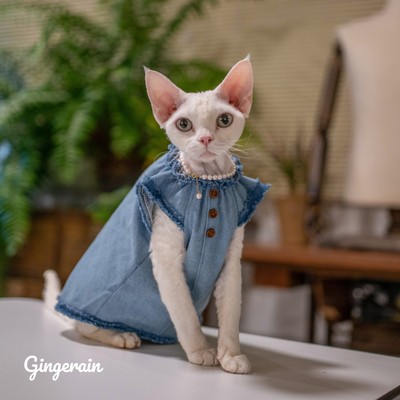 无毛猫衣服牛仔背心布桃子的梦想