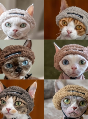 GINGERAIN  泰迪保暖帽子德文猫衣服无毛猫简约套装保暖卫衣