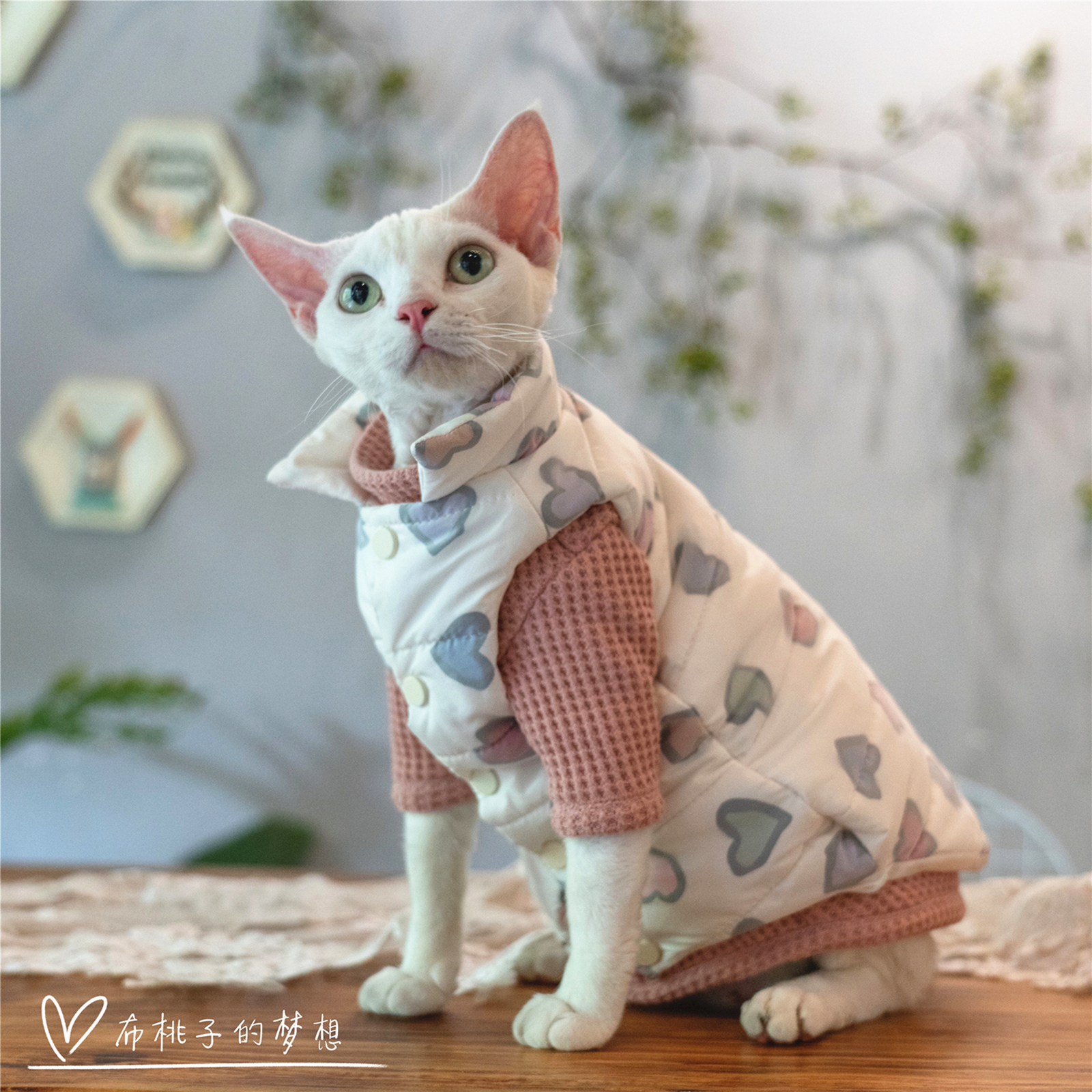 GINGERAIN 无毛猫衣服德文猫斯芬克斯柯尼斯羽绒服棉服马甲冬