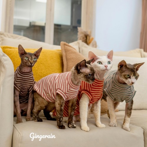 背心GINGERAIN/布桃子的梦想猫咪