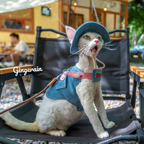 Кемпинг с джинсовой ткани с джинсовым ремешками на открытом воздухе.