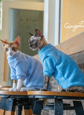 GINGERAIN 彩色打底衫实用耐磨德文猫衣服无毛猫简约保暖卫衣