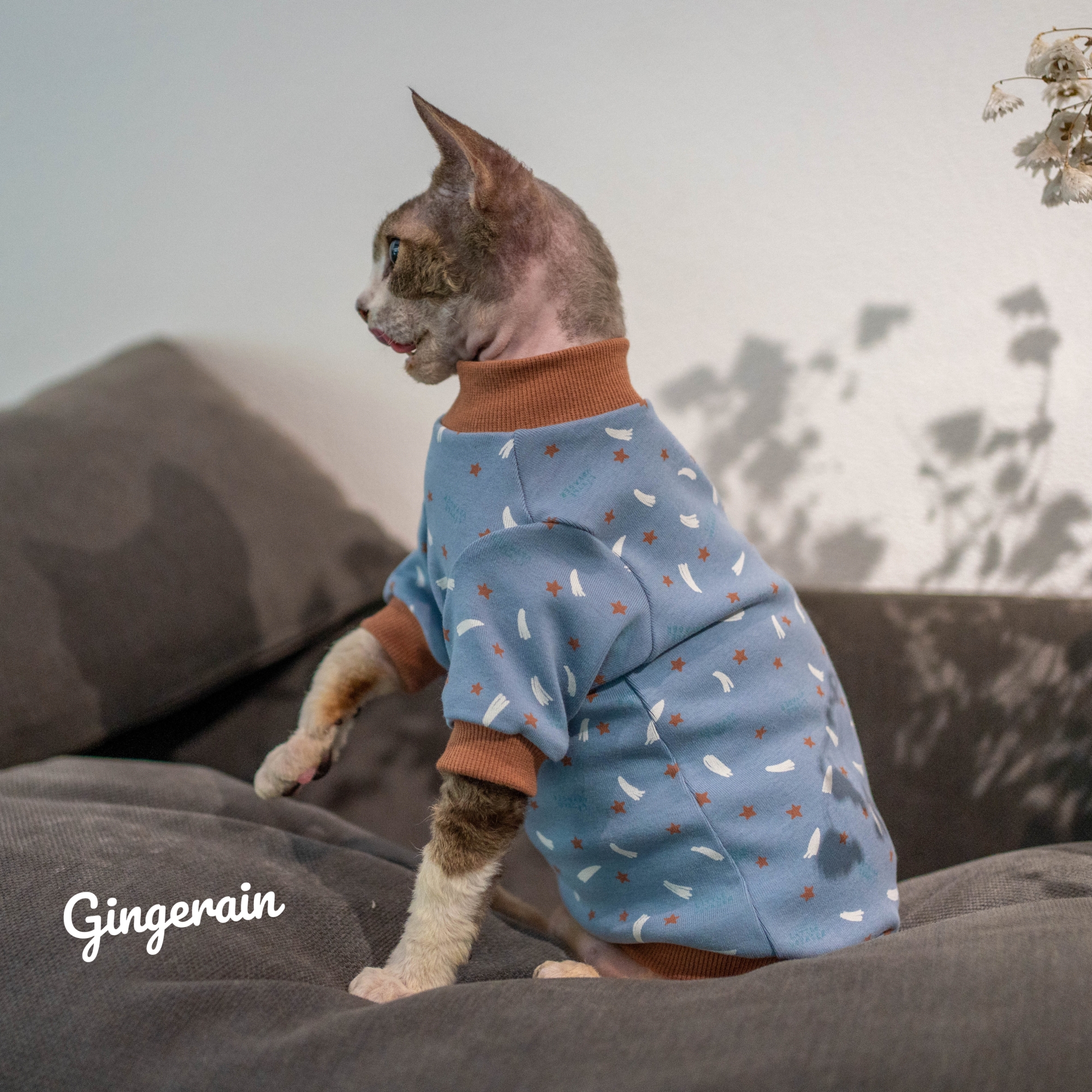 GINGERAIN无毛猫保暖内衣打底衫