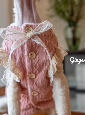 GINGERAIN 德文猫衣服无毛猫毛衣外套加绒飞飞袖蕾丝系扣马甲