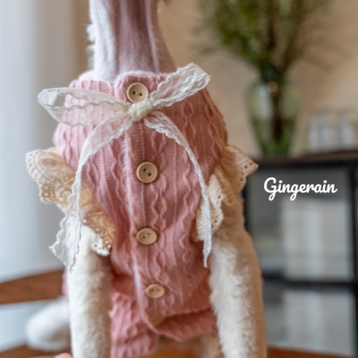 猫GINGERAIN/布桃子的梦想