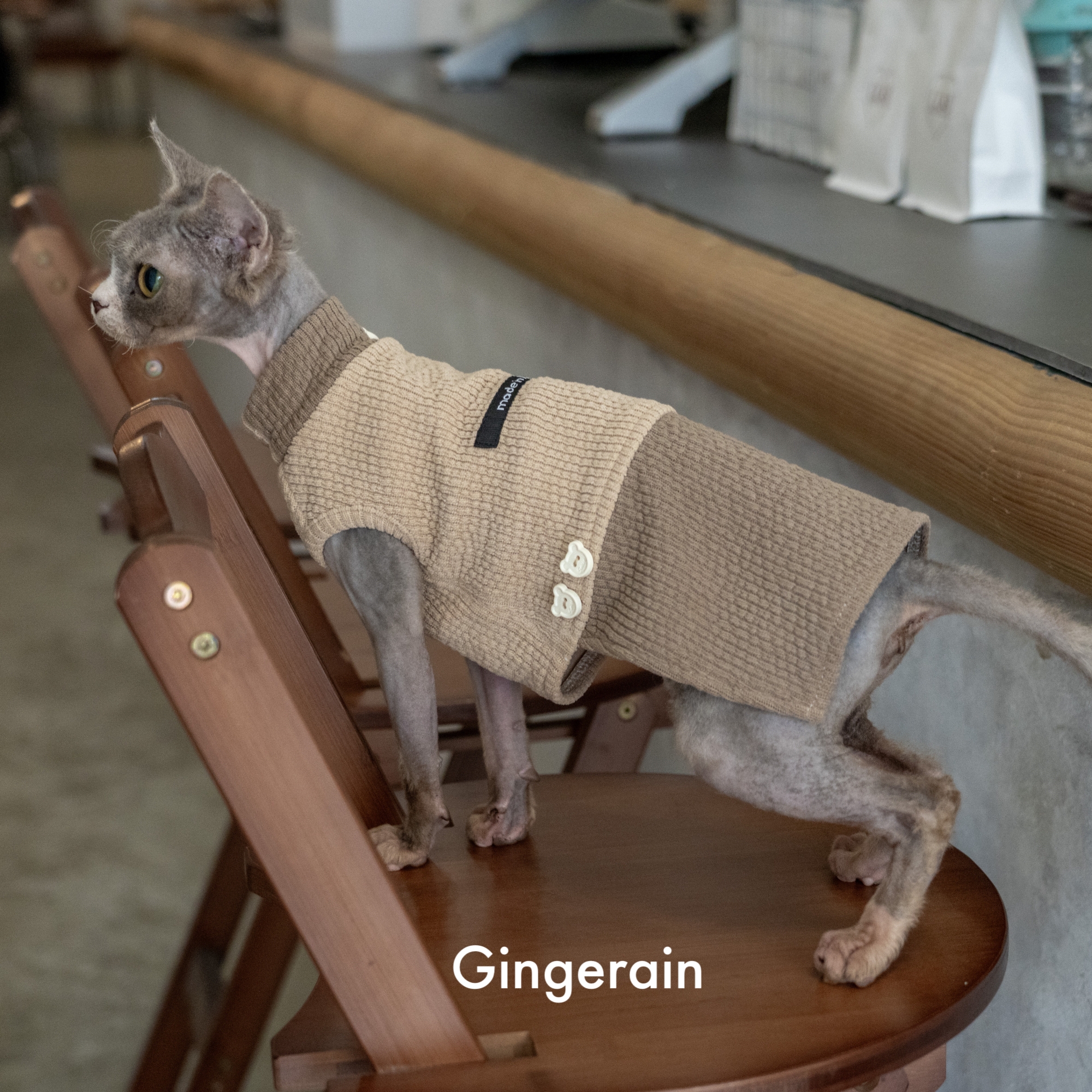 GINGERAIN 春秋保暖基础卫衣无毛猫衣服德文背心款高领打底衫