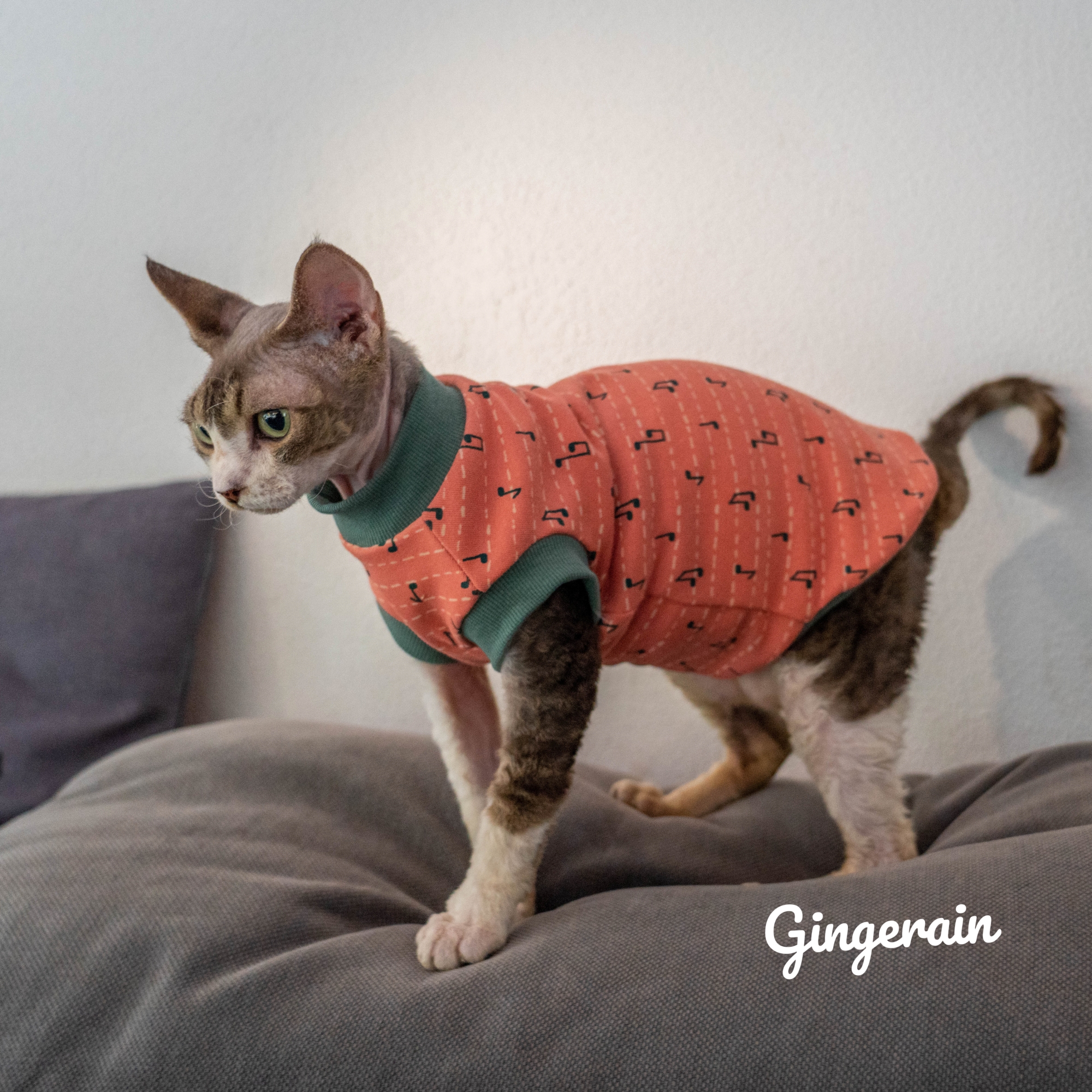 GINGERAIN猫衣服保暖背心纯棉