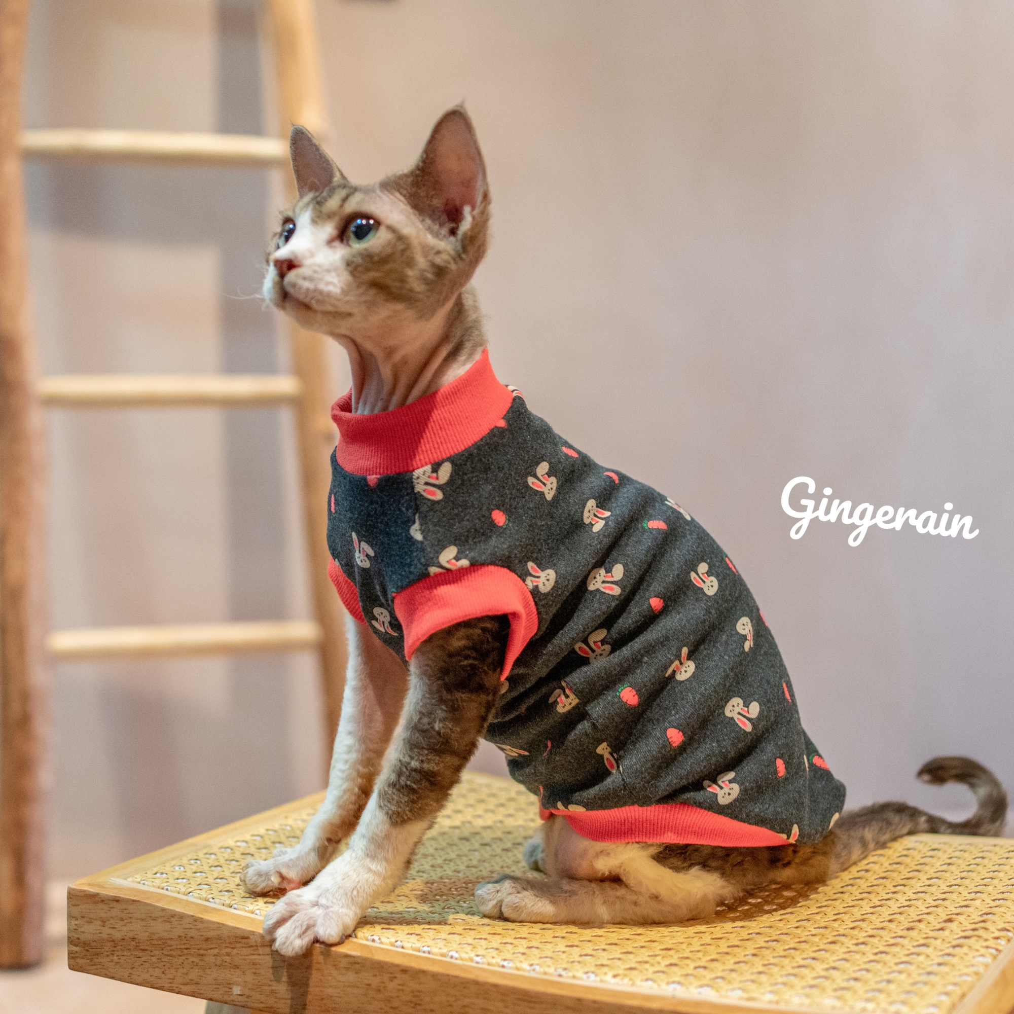 GINGERAIN德文猫保暖背心