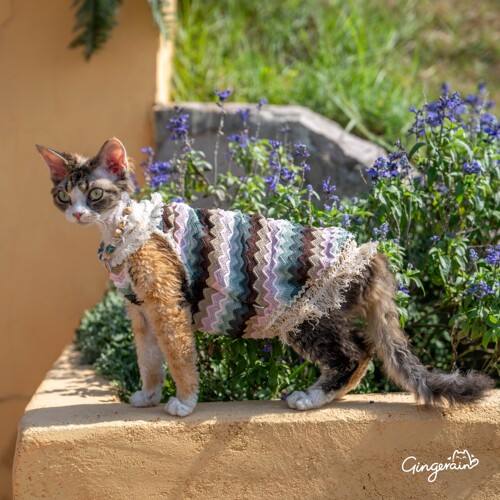GINGERAIN 波西米亚吊带裙流苏镂空德文猫衣服无毛猫度假风背心