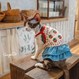 GINGERAIN 层层裙德文猫衣服无毛猫纯棉吊带裙牛仔假两件背心裙