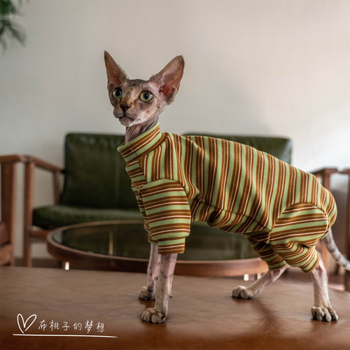 GINGERAIN德文猫护肚四腿保暖衣