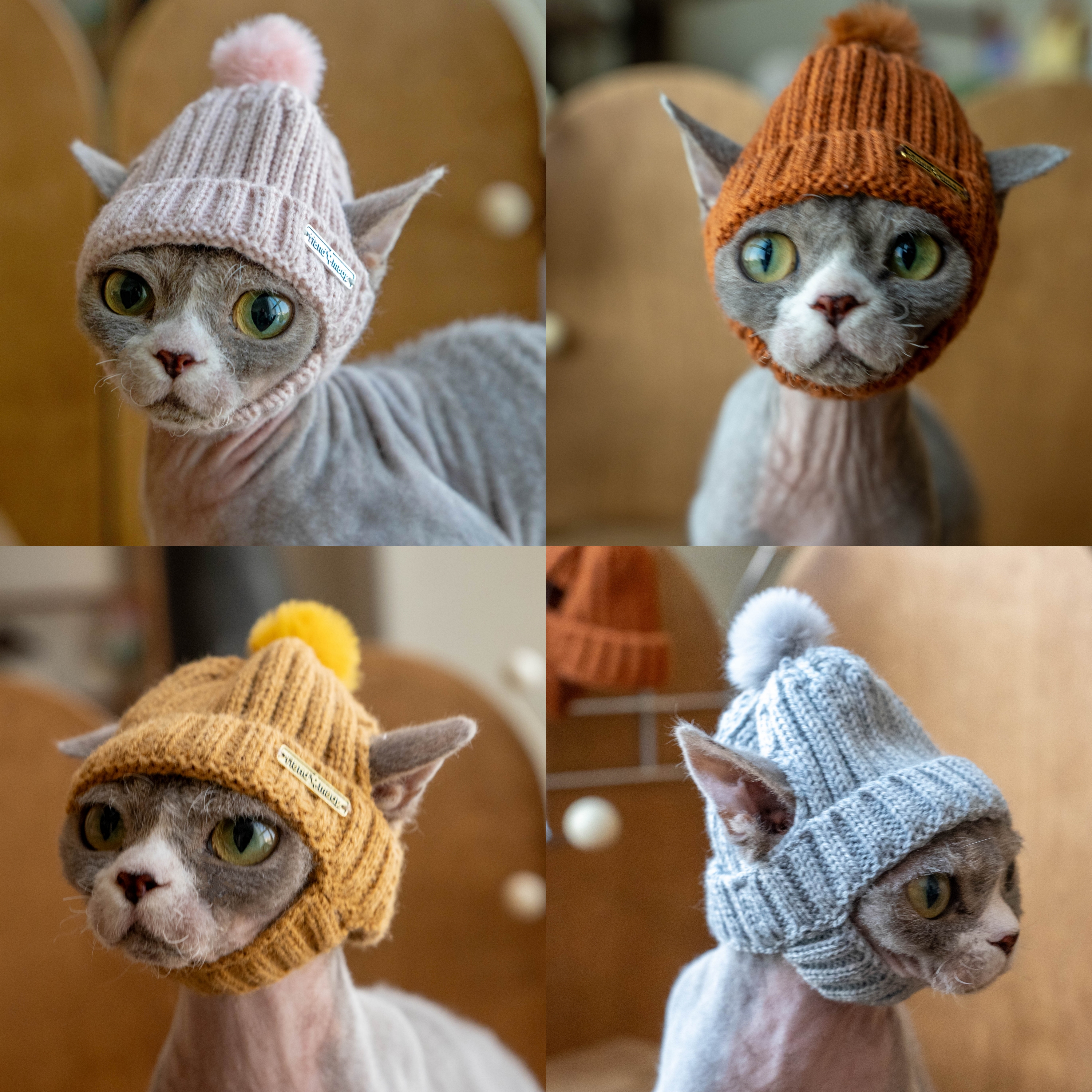 GINGERAIN  毛线帽德文猫帽子毛线无毛猫露耳帽保暖外出拍照道具