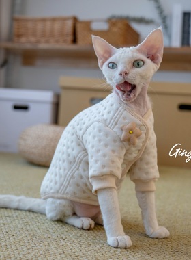 GINGERAIN 德文猫夹棉系扣保暖猫外套猫衣服