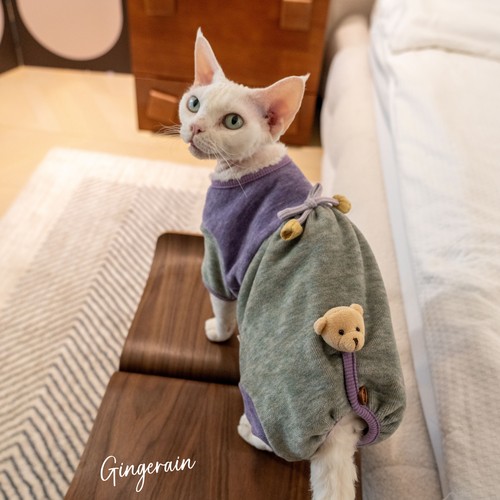 GINGERAIN 加厚绒绒护肚四腿德文猫衣服无毛猫高弹绝育服肥猫必入