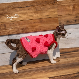 GINGERAIN 保暖吊带德文猫衣服无毛猫冬季护肚立体心心可爱背心