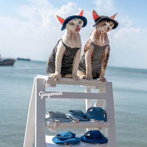 猫咪牛仔帽太阳帽GINGERAIN