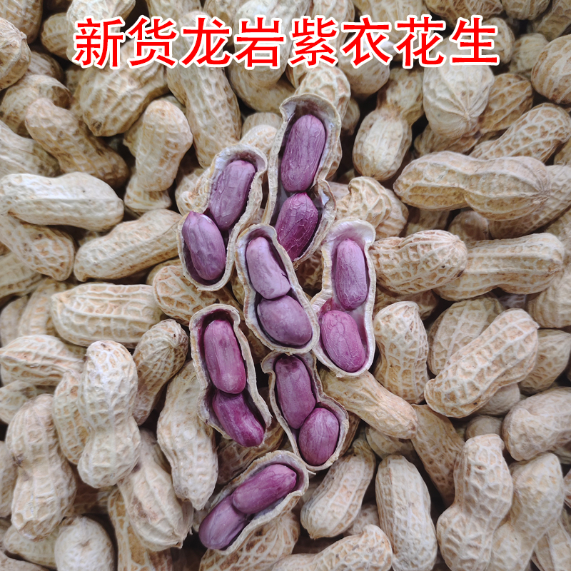 新龙岩紫衣花生水煮白晒福建龙岩连城二三四粒红衣湿烤香脆咸味晒