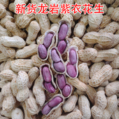 新龙岩紫衣花生水煮白晒福建龙岩连城二三四粒红衣湿烤香脆咸味晒