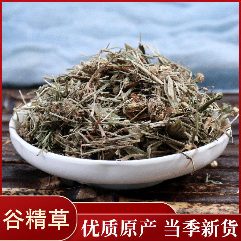 正品中药材 谷精草50克 鱼眼草 珍珠草 天星草  实体店铺中草药