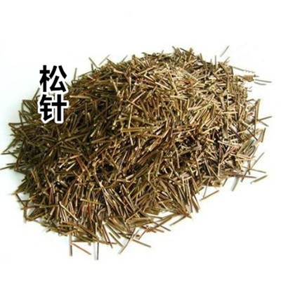中药材中草药大全松针