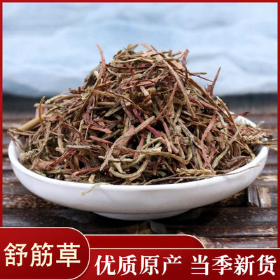 中药材店铺舒筋草50克筋