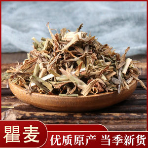 中药材店铺瞿麦巨翟石
