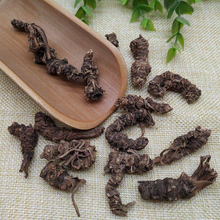 中药材 缬草根 蜘蛛香 蜘蛛香根 马蹄香 新叶缬草光缬草50克