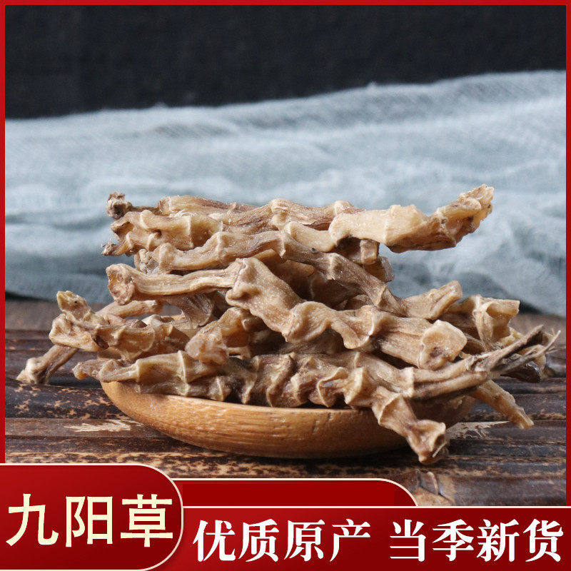 九阳草 虫草参 地龙菜泽兰根 雪参干货 50g