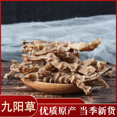 九阳草虫草参地龙菜泽