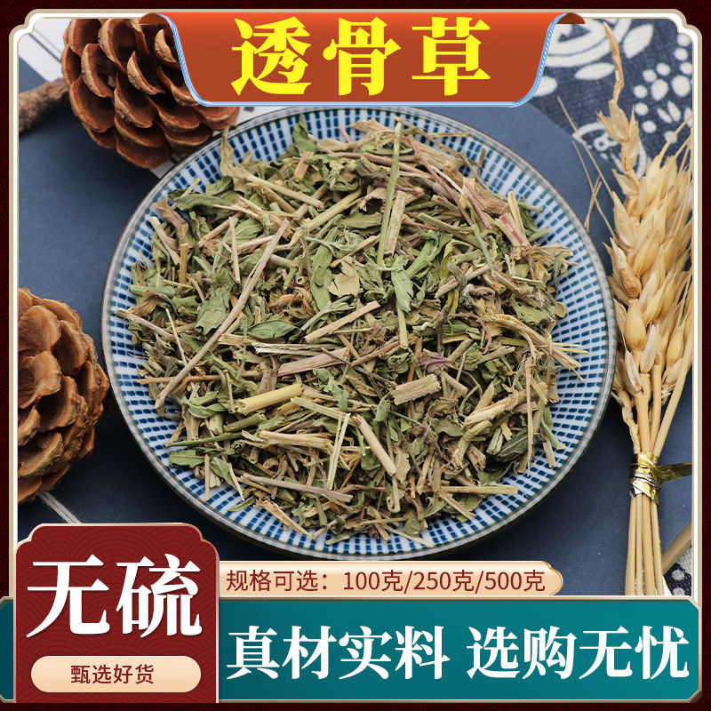 透骨草中药材透骨消连钱草泡脚铜钱草透骨新货天然无硫包邮500g克