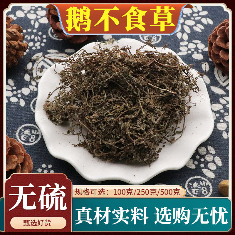 鹅不食草中药材天然包邮鹅不吃草新鲜干 干草粉末饿不食草无硫500