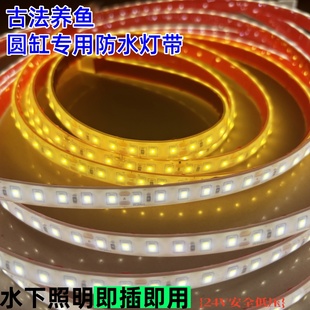 古法养鱼鱼缸鱼池专用水下led灯带24V实心硅胶自粘户外防水灯带条