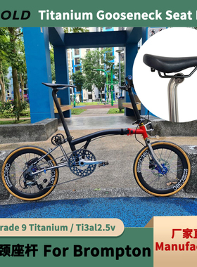 小布鹅颈座杆钛合金折叠自行车座管31.8mm Ti Gooseneck Seatpost