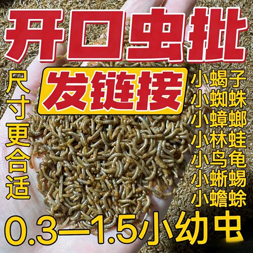 面包虫小虫黄粉虫活虫特小幼虫0.3-0.5-0.8厘米鸟鱼龟宠物蝎子 - 封面