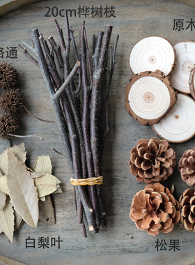 【天然树枝】干枯木棍树叶木头树皮立体手工画松果木片桦树